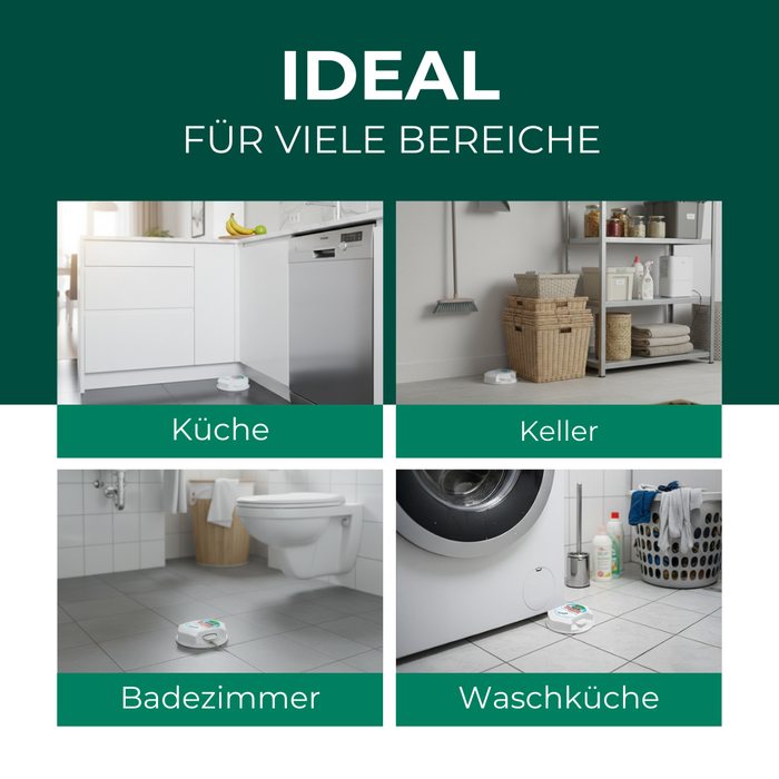 Silberkraft Silberfisch-Köder ideal für Küche, Keller, Badezimmer und Waschküche – platzierte Köderdosen in verschiedenen Haushaltsbereichen zur effektiven Silberfisch-Bekämpfung