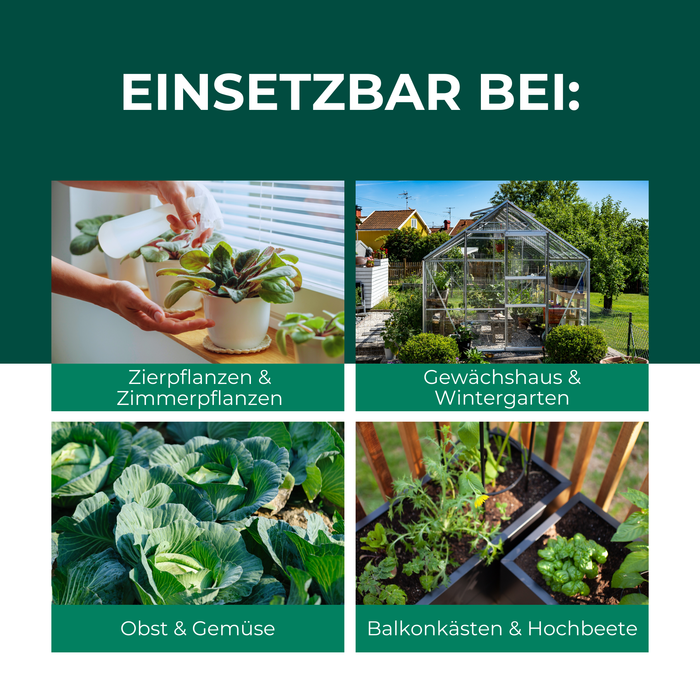 Florfliegenlarven gegen Blattläuse, Spinnmilben, Thripse, weiße Fliegen - Silberkraft