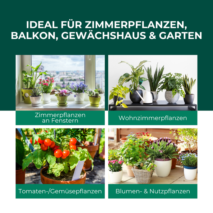 Gelbfalle Gelbtafeln Gelbsticker 12 Stück gegen Fruchtfliegen, Trauermücken, uvm. - Silberkraft