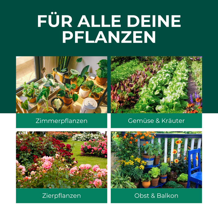 Neemöl mit Emulgator – Pflegendes Neemöl-Konzentrat für Deine Pflanzen - Silberkraft