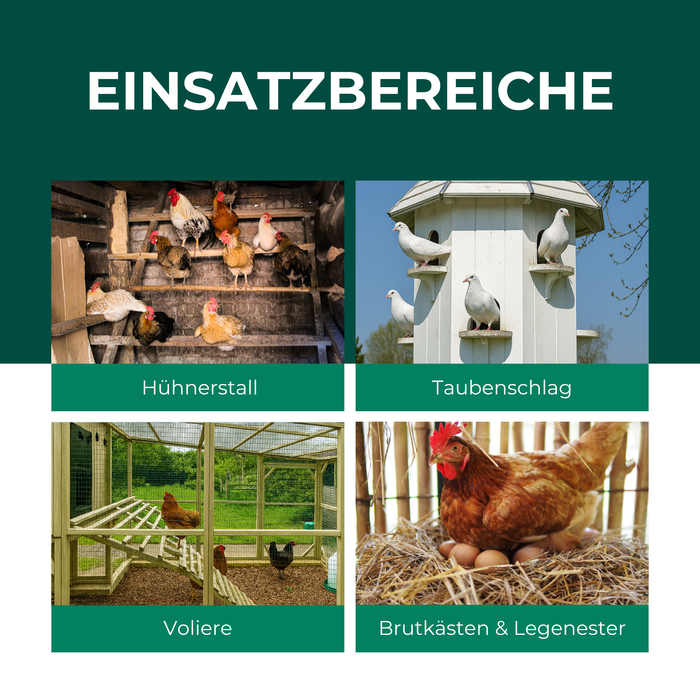 Raubmilben gegen Rote Vogelmilben - Silberkraft