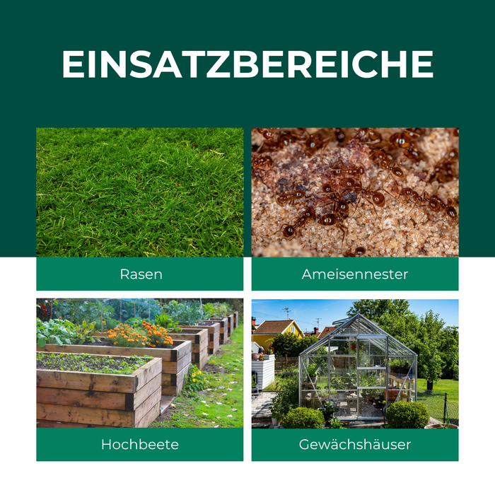 SF Nematoden gegen Ameisen - Silberkraft