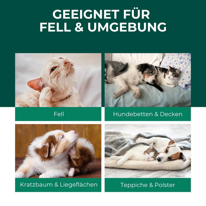 Floh- & Zeckenspray für Hunde und Katzen - Silberkraft