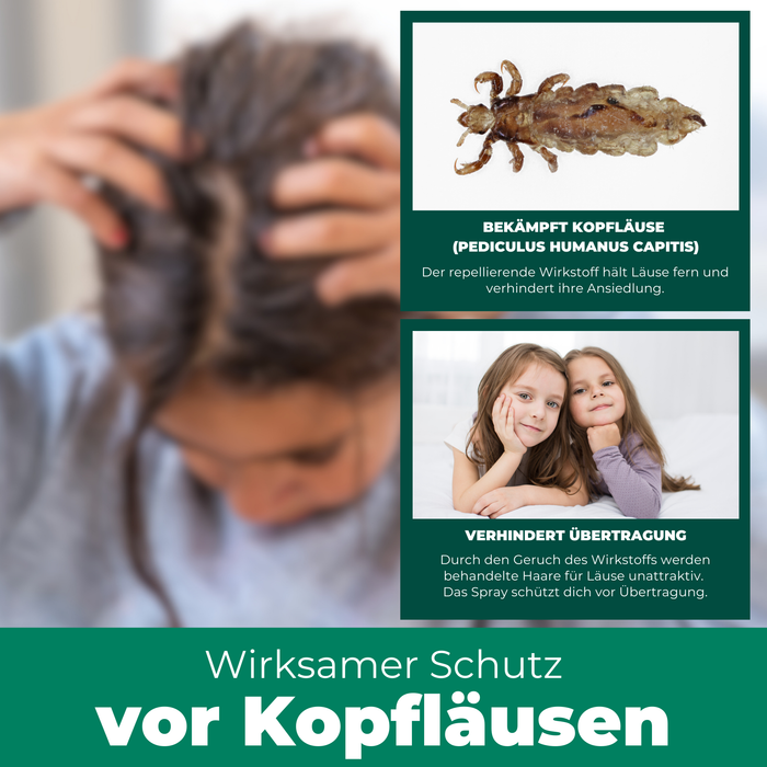 Informationsgrafik zur Läuseabwehr. Ein großes Bild zeigt eine Person mit zerzaustem Haar, die sich am Kopf kratzt. Rechts oben eine Nahaufnahme einer Kopflaus mit einem erklärenden Text. Darunter ein Foto von zwei Mädchen, die sich anlehnen, mit der Info, dass das Produkt die Übertragung von Läusen verhindert. Überschrift: „Wirksamer Schutz vor Kopfläusen"