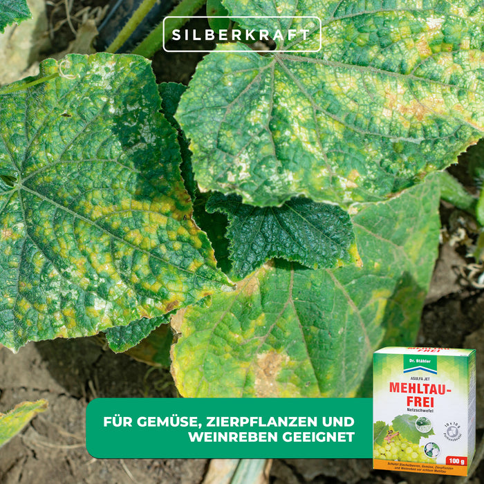 Asulfa® Jet Mehltau-Frei: Zuverlässiger Schutz gegen Mehltau und Milben - Silberkraft