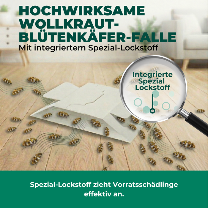 Wollkrautblütenkäferfalle mit Spezial-Lockstoff - Silberkraft