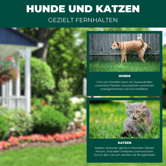 Hunde & Katzen Stopp Ex Granulat - Silberkraft