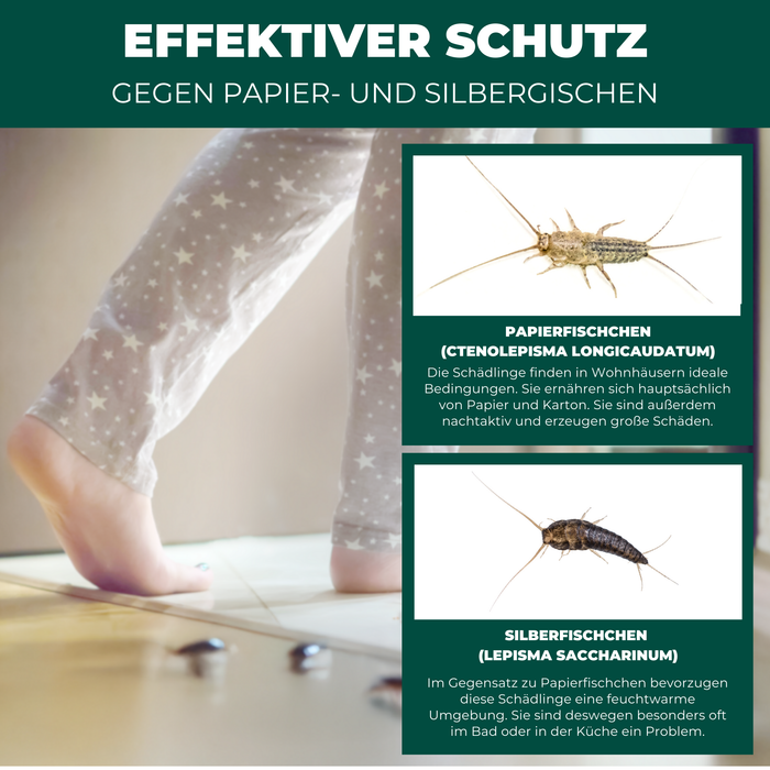 Silberfischfallen Silberfische & Papierfische bekämpfen 10 Stück - Silberkraft