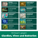 Giardienspray gegen Giardien, Bakterien, Viren & Pilze inkl. kostenloses eBook - Silberkraft