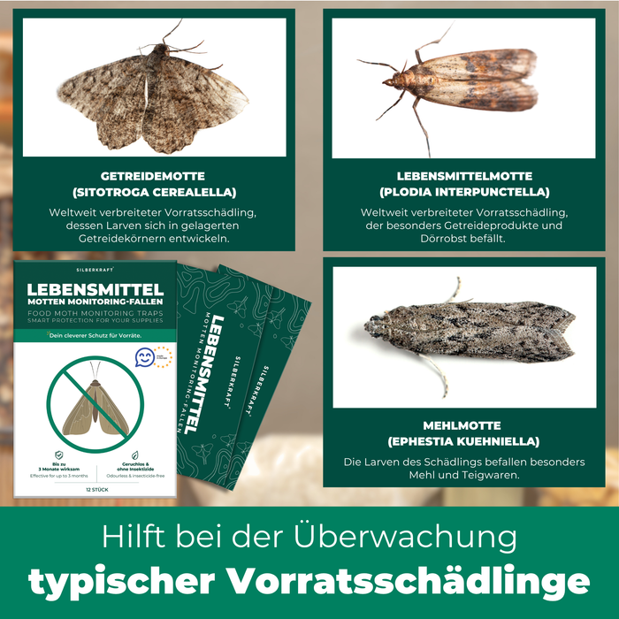 Silberkraft Mottenfallen überwachen Getreidemotten, Lebensmittelmotten und Mehlmotten – ideal für Küche und Vorratsschrank