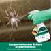 Spinnenspray met langdurige bescherming – voorkomt nieuwe besmettingen en houdt spinnen permanent weg