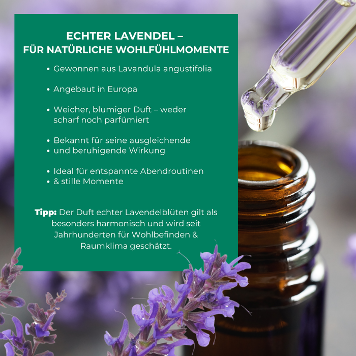 Lavendel spuitpotje - Silberkraft