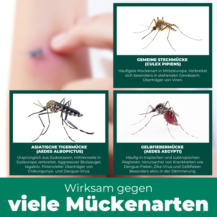 Mückenspray - Silberkraft