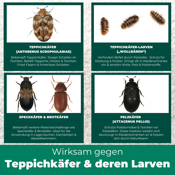 Bilder verschiedener Schädlinge, darunter Teppichkäfer, Larven, Speckkäfer und Pelzkäfer, mit kurzen Erklärungen zu ihrem Befall.