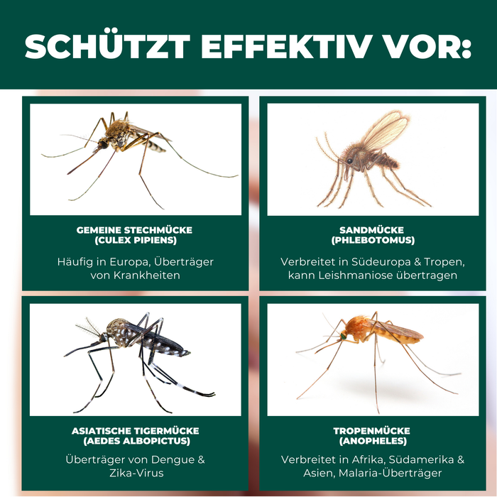 Insectenbescherming voor reis- en kinderbedden - klamboe 150x70x90cm - opvouwbaar & ademend - voor babyreiswiegjes en extra bedden - incl. transporttas - Silberkraft