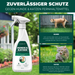 Hunde- und  Katzenabwehrspray - Silberkraft