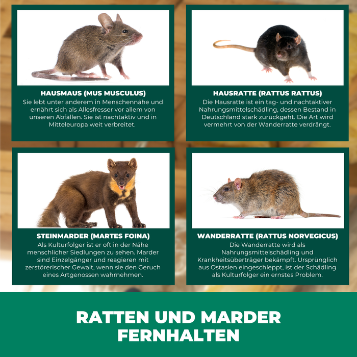 Ratten, Marder & Nager Ex Granulat - Silberkraft