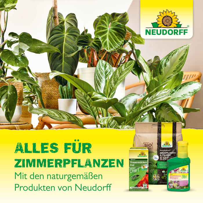 Neudorff Gelb-Sticker - Silberkraft