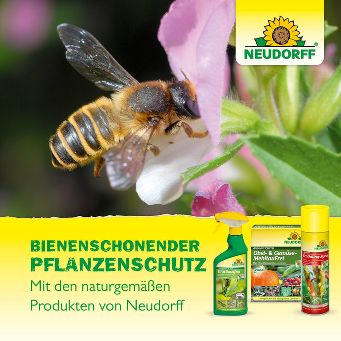 Neudorff Promanal Neu Austriebsspritzmittel - Silberkraft