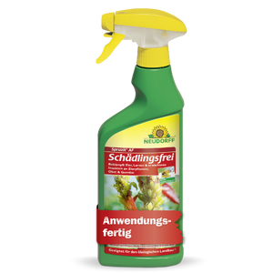 Neudorff Spruzit AF Schädlingsfrei gegen Blattläuse, Thripse, Buchsbaumzünsler - Silberkraft