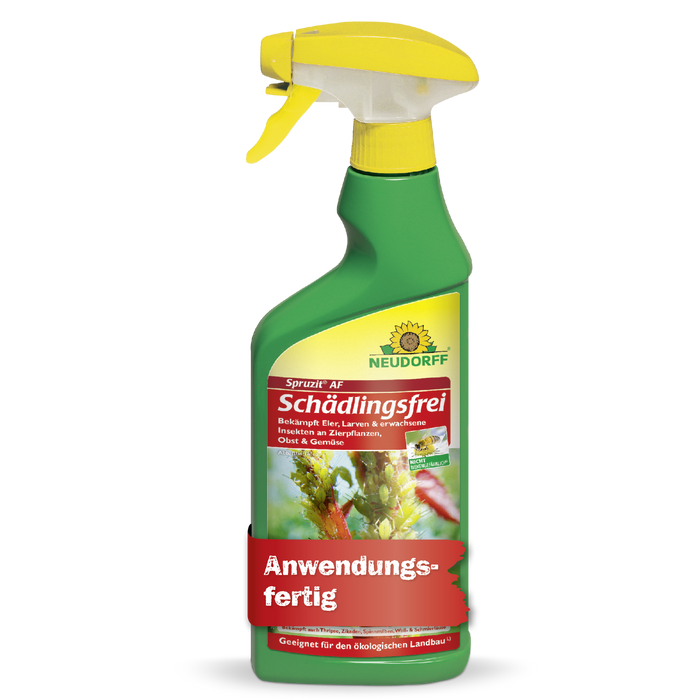 Neudorff Spruzit AF Schädlingsfrei gegen Blattläuse, Thripse, Buchsbaumzünsler - Silberkraft