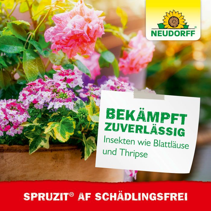 Neudorff Spruzit AF Schädlingsfrei gegen Blattläuse, Thripse, Buchsbaumzünsler - Silberkraft
