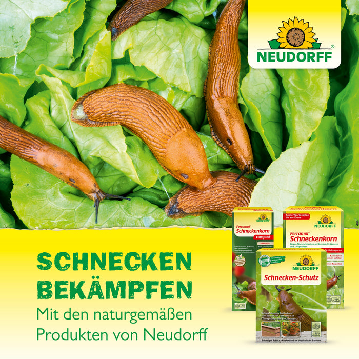 Neudorff Ferramol Schnecken-Schutz - Silberkraft