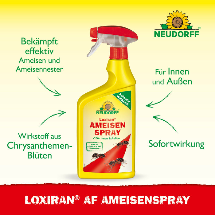 Neudorff Loxiran AF mierenspray