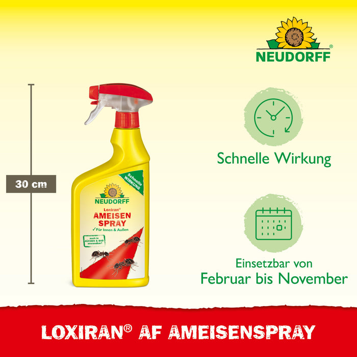 Neudorff Loxiran AF mierenspray