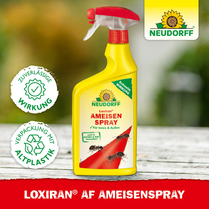 Neudorff Loxiran AF mierenspray