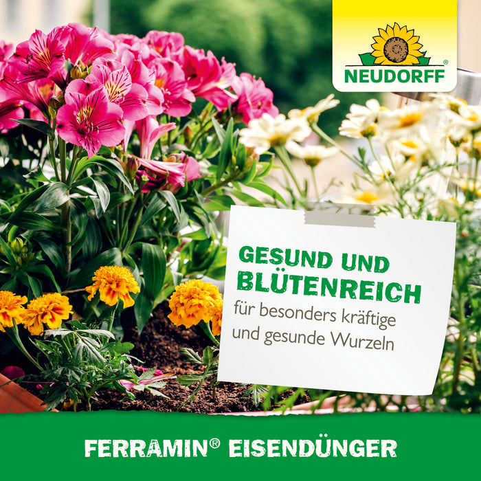 Neudorff Ferramin Eisendünger - Silberkraft