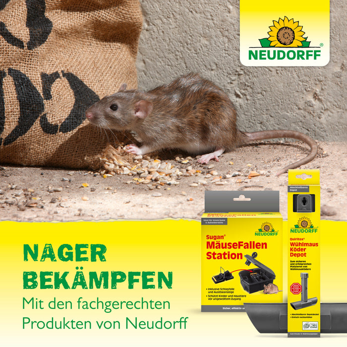 Neudorff SpinnenStopp - Silberkraft