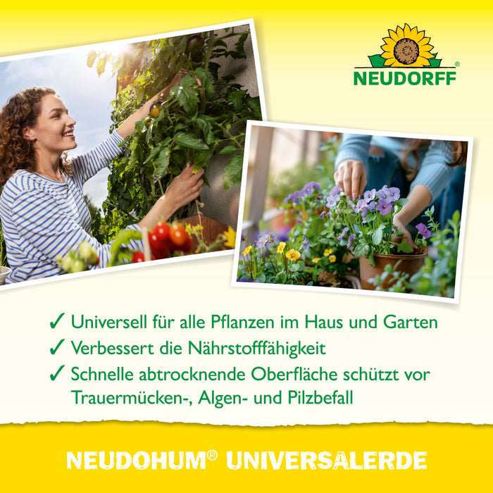Neudorff NeudoHum UniversalErde - Silberkraft