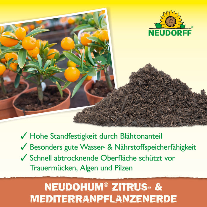 Neudorff NeudoHum Zitrus- & MediterranpflanzenErde - Silberkraft