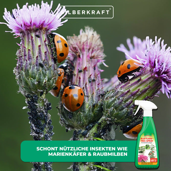 Blattlausfrei-Spray: Effektiver Schutz für Obst, Gemüse & Zierpflanzen - Silberkraft
