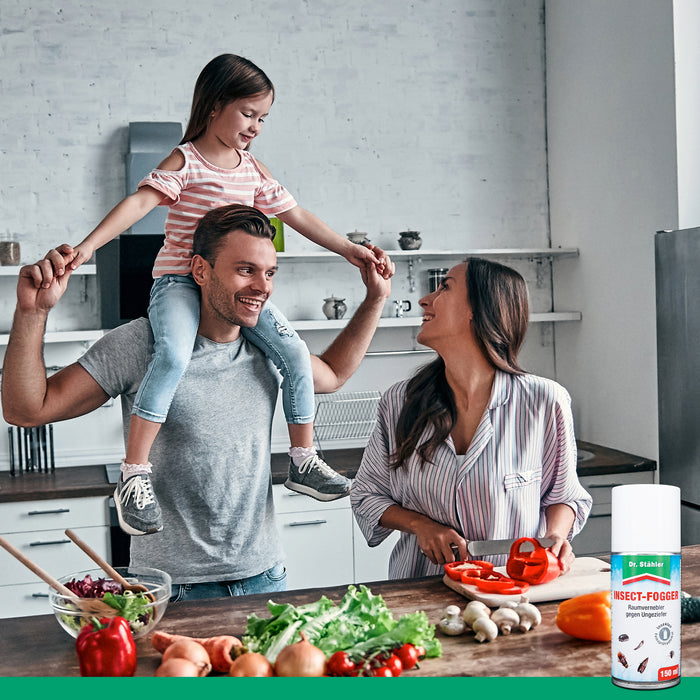 Insekten-Fogger (Doppelpack): Raum-Vernebler-Automat gegen Ungeziefer wie Schaben, Käfer und Motten - Silberkraft