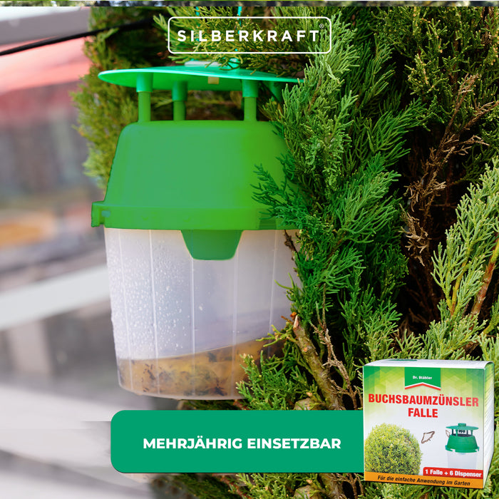 Buchsbaumzünsler-Falle: Rechtzeitige Befallserkennung und zuverlässige Schädlingsüberwachung - Silberkraft