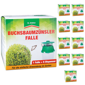 Buchsbaumzünsler-Falle: Rechtzeitige Befallserkennung und zuverlässige Schädlingsüberwachung - Silberkraft