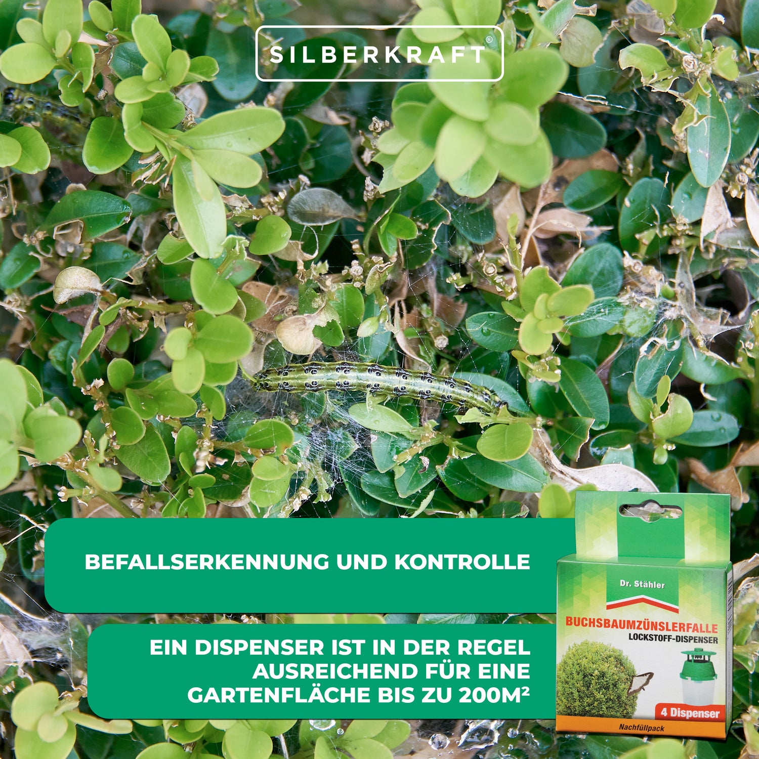 Nachfüllpack Buchsbaumzünsler-Falle: Einfaches und schnelles Nachfüllen - Silberkraft