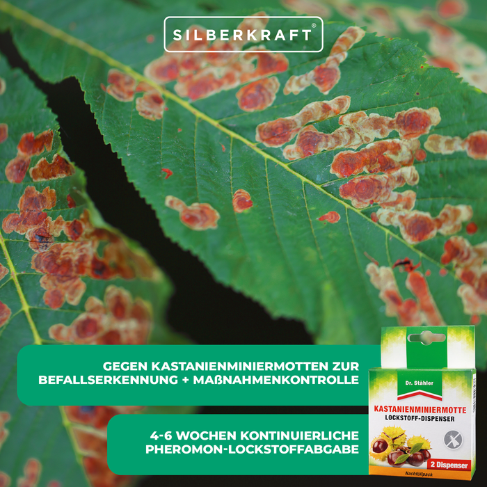 Kastanienminiermotte Lockstoffdispenser - Schutz für die Rosskastanie - Silberkraft