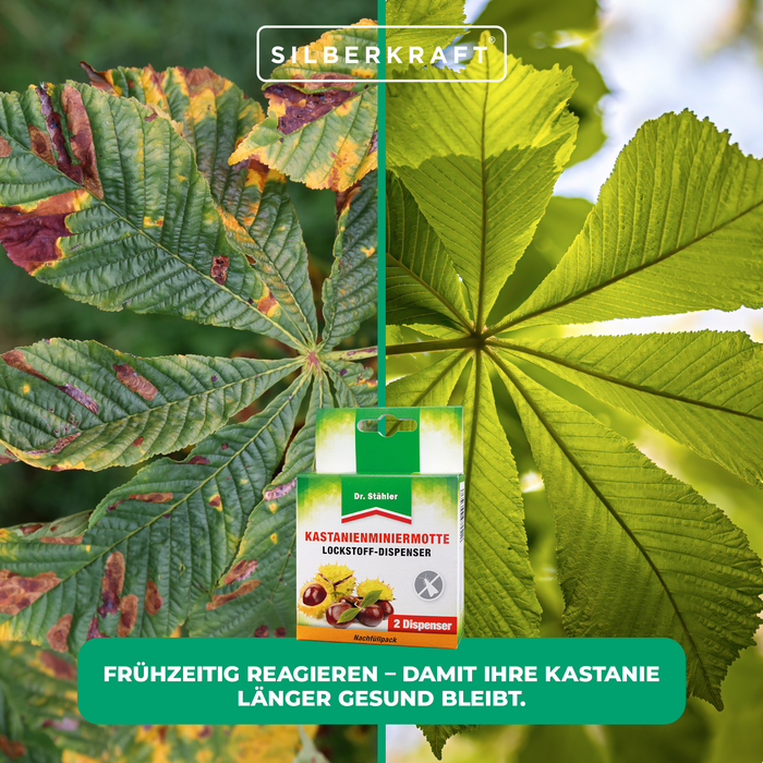 Kastanienminiermotte Lockstoffdispenser - Schutz für die Rosskastanie - Silberkraft