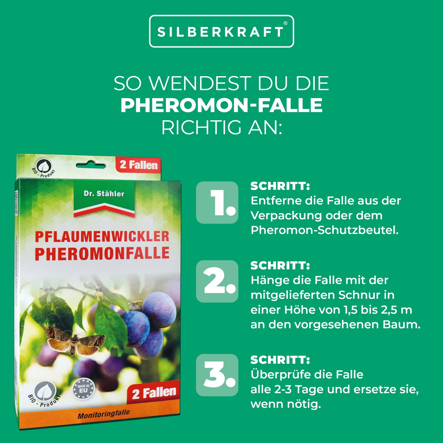 Pflaumenwickler Pheromon-Falle: ideal für Pflaumenbäume in Gärten und Plantagen - Silberkraft
