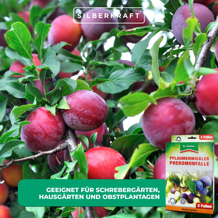 Pflaumenwickler Pheromon-Falle: ideal für Pflaumenbäume in Gärten und Plantagen - Silberkraft