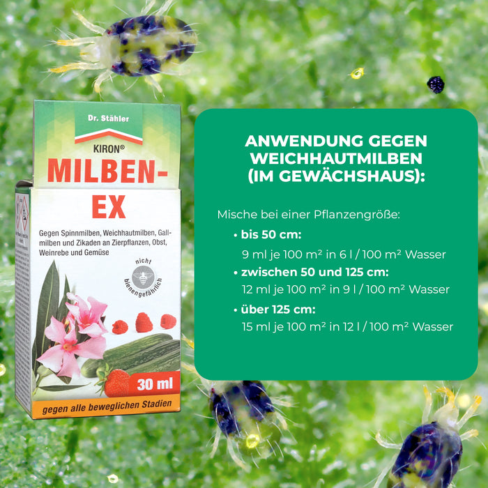 Kiron Milben-Ex: Effektive Bekämpfung von Spinnmilben und Schädlingen an Obst, Gemüse und Zierpflanzen - Silberkraft