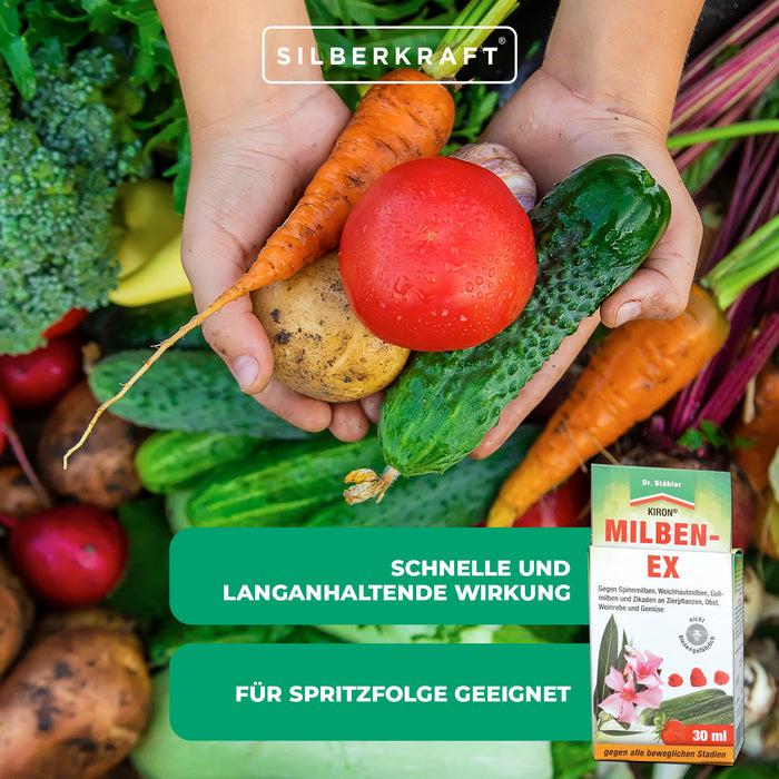 Kiron Milben-Ex: Effektive Bekämpfung von Spinnmilben und Schädlingen an Obst, Gemüse und Zierpflanzen - Silberkraft