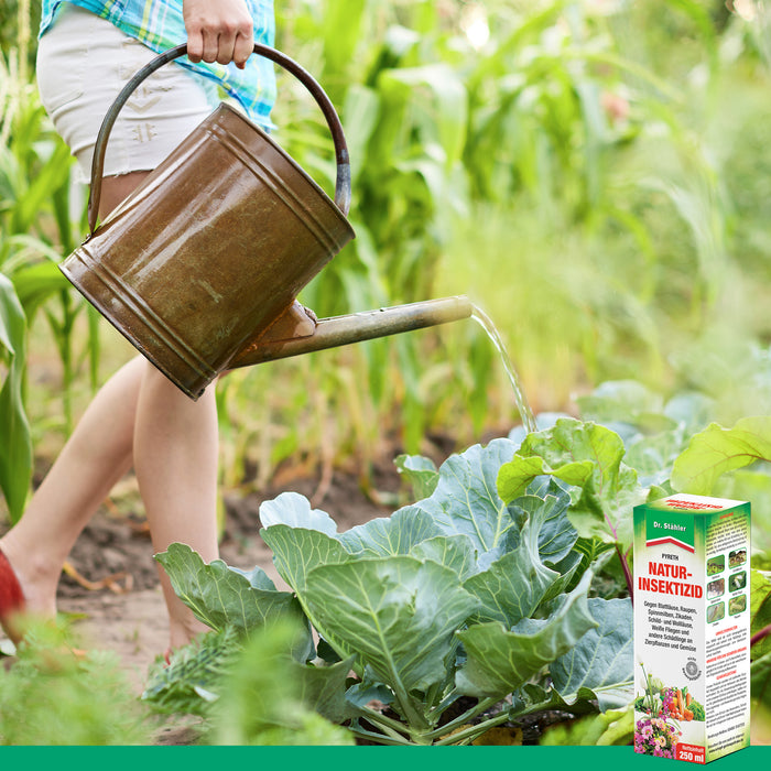 Pyreth Natur-Insektizid: Optimaler Insektenschutz für Zierpflanzen, Obst- und Gemüseanbau - Silberkraft