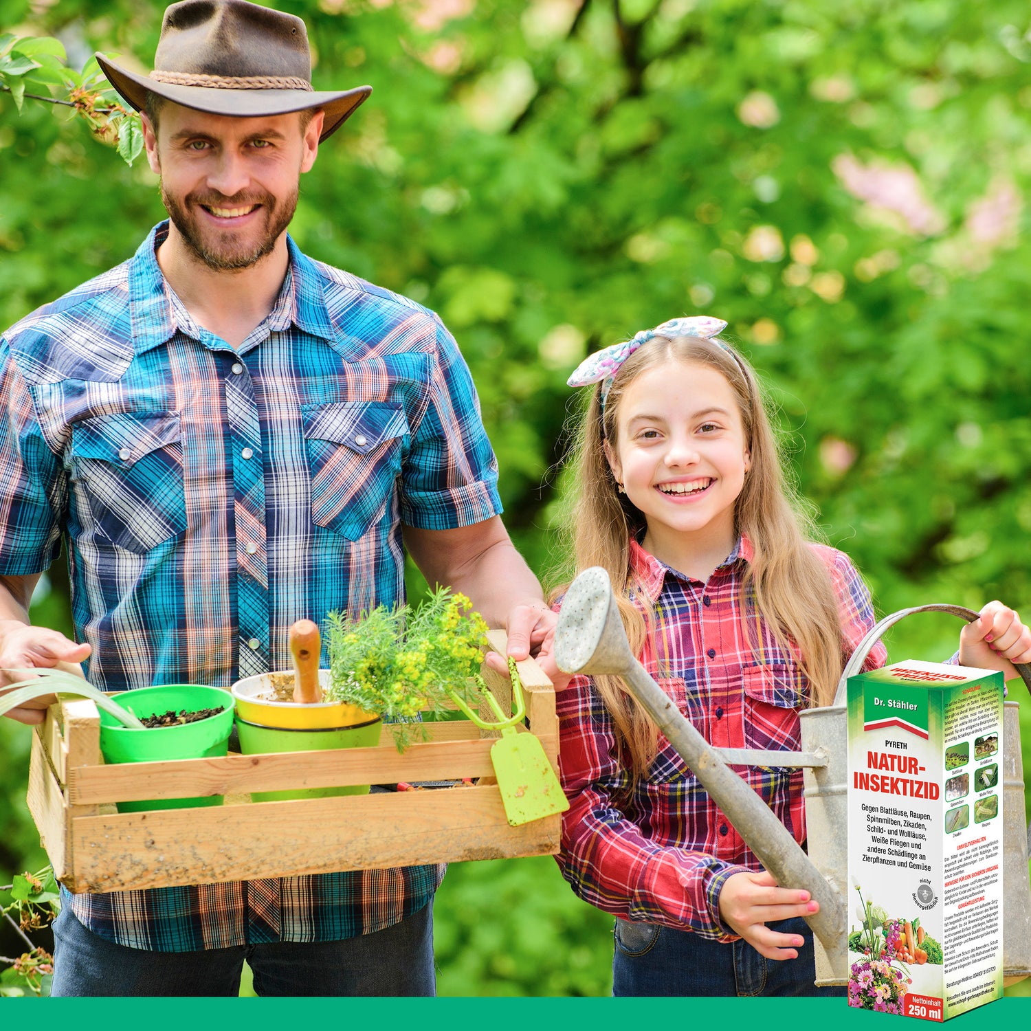 Pyreth natuurlijk insecticide: Optimale insectenbescherming voor sierplanten, fruit- en groenteteelt
