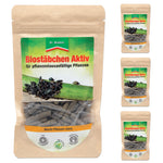 Biosticks Actief: Zeer effectief plantversterkingsmiddel voor vitale en weerbare planten - Silberkraft