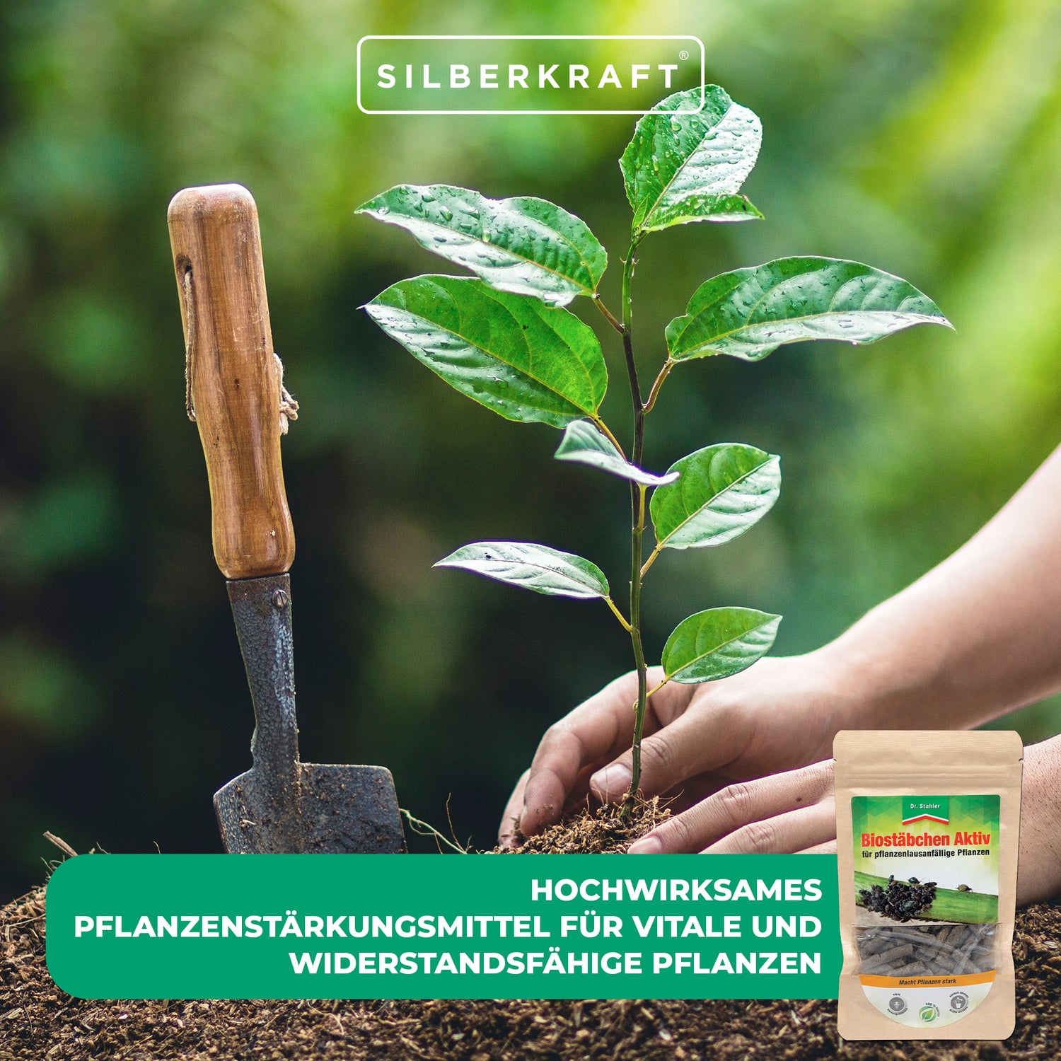 Biostäbchen Aktiv: Hochwirksames Pflanzenstärkungsmittel für vitale und widerstandsfähige Pflanzen - Silberkraft