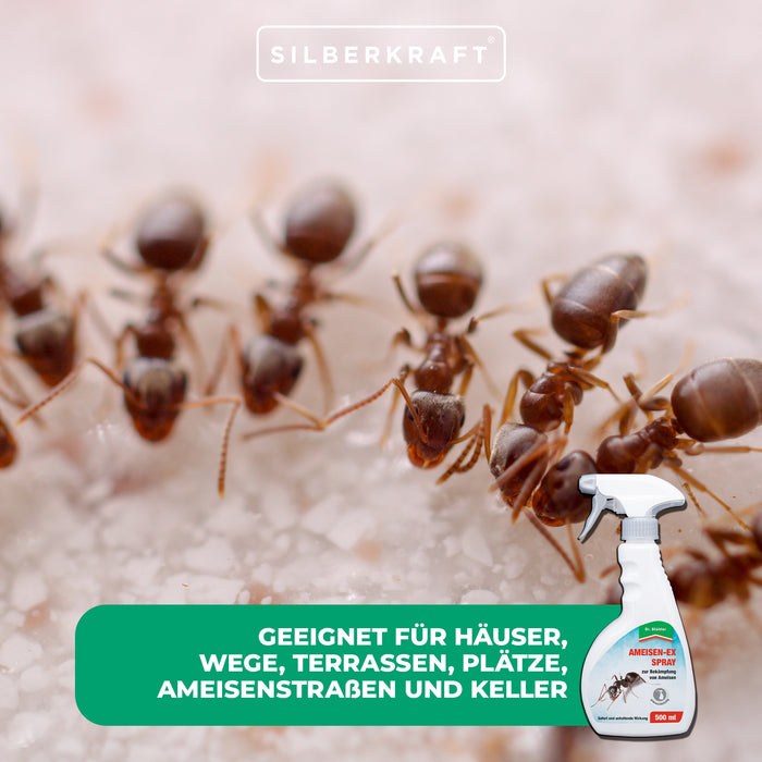 Hochwirksames Ameisen-Ex Spray gegen eine Vielzahl von Insekten wie Ameisen und Asseln - Silberkraft